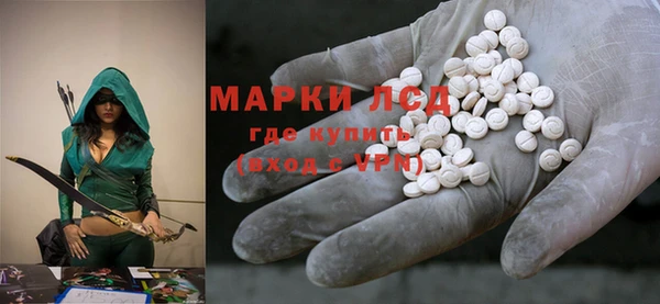 индика Абинск