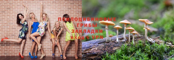 индика Абинск