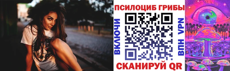 наркота  Сурск  Галлюциногенные грибы Psilocybe 